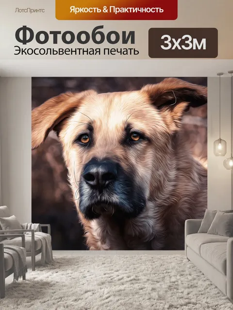 Фотообои Собака