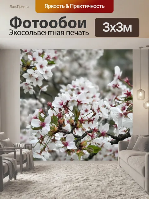 Фотообои Сакуры весной