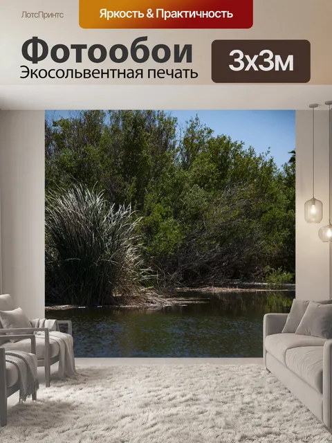 Фотообои Озеро пустыни живописное