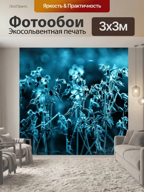 Фотообои Цветы полевые цветы растения аннотация