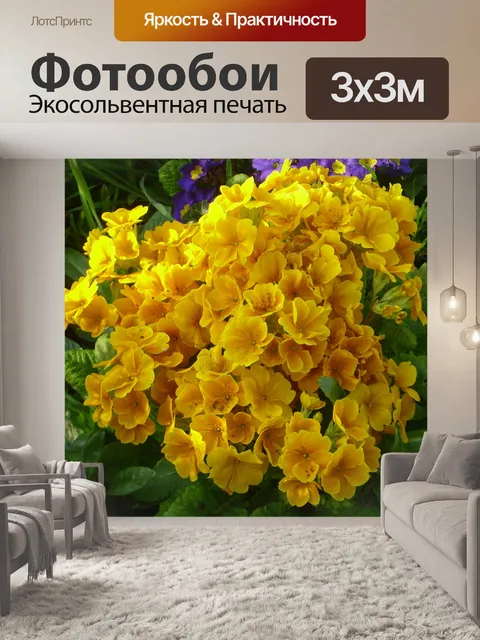 Фотообои Золотые Примула