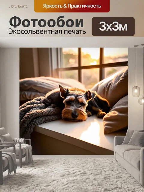 Фотообои цвергшнауцер, мирно спящий на подоконнике, обременённый мягкими пледами и подушками