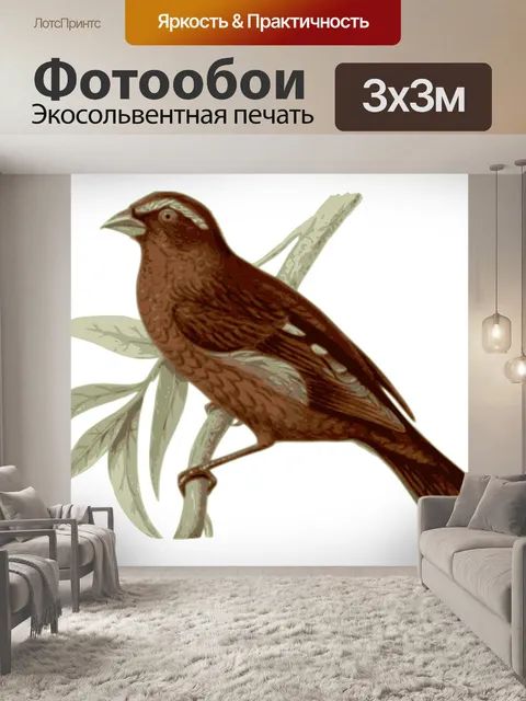 Фотообои Птица