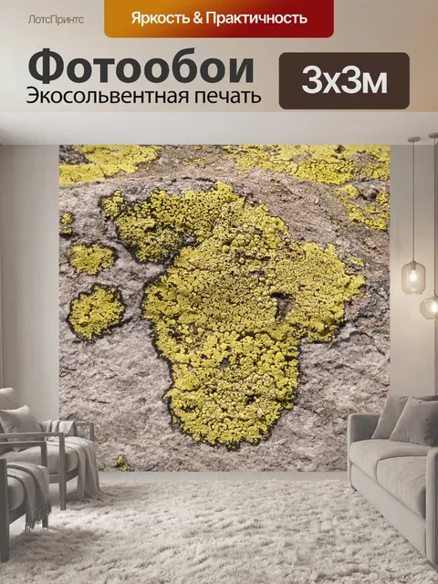 Фотообои Камень