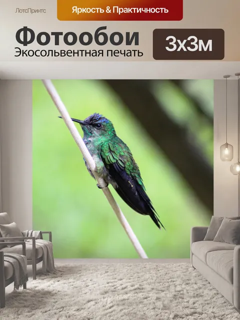 Фотообои Птица