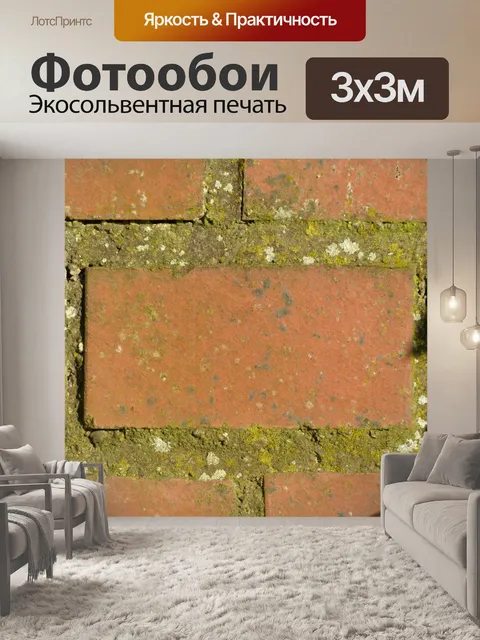Фотообои Стена