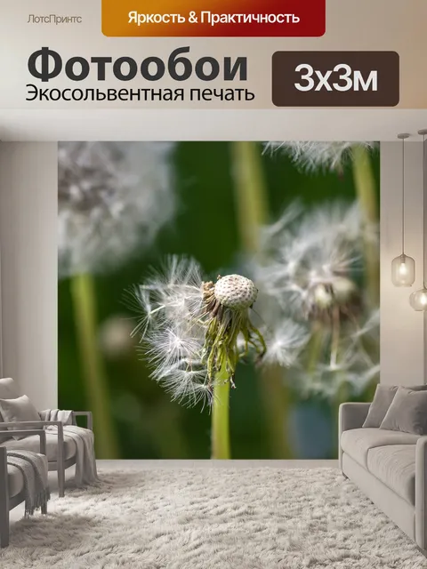 Фотообои Одуванчик