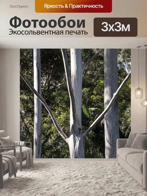 Фотообои Деревья