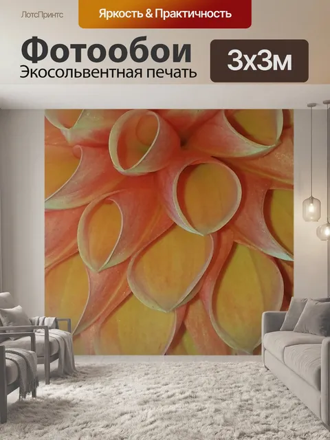 Фотообои Георгин