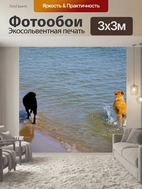 Фотообои Две собаки, работающие в Surf