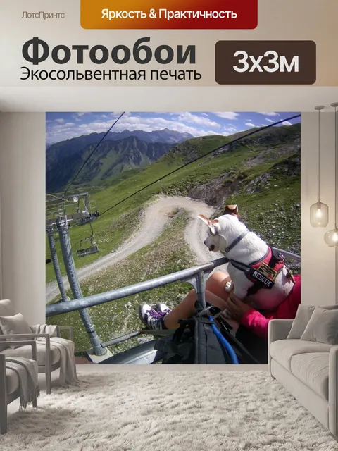 Фотообои Собака