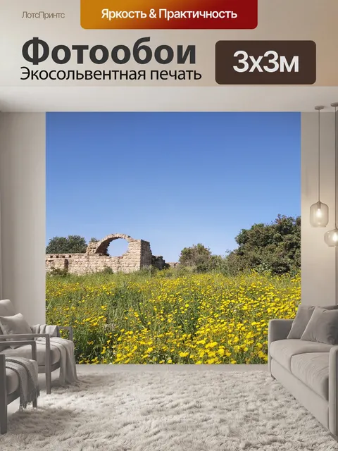 Фотообои Византийские руины в Израиле весной