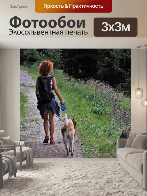 Фотообои Обочину дороги