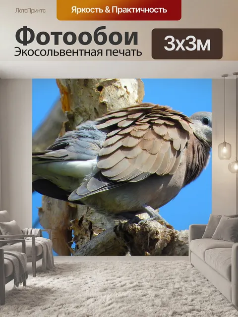 Фотообои Птицы