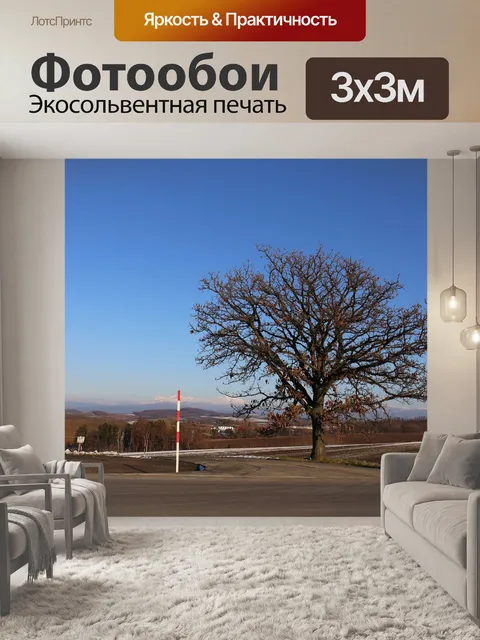 Фотообои Хоккайдо