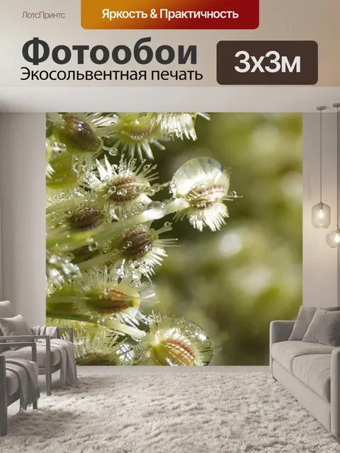 Фотообои Мокрый
