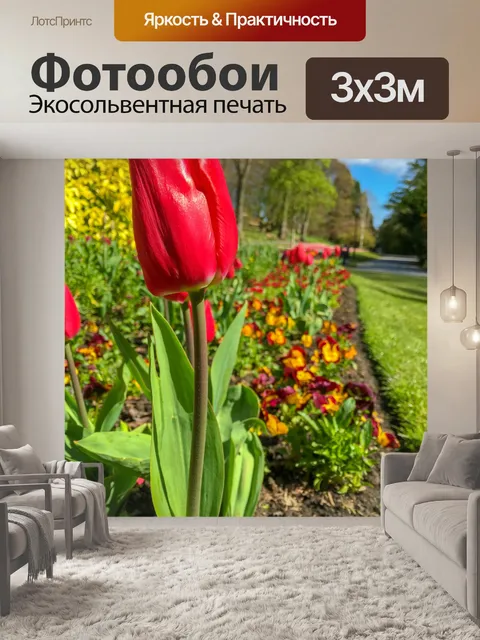 Фотообои Красный тюльпан