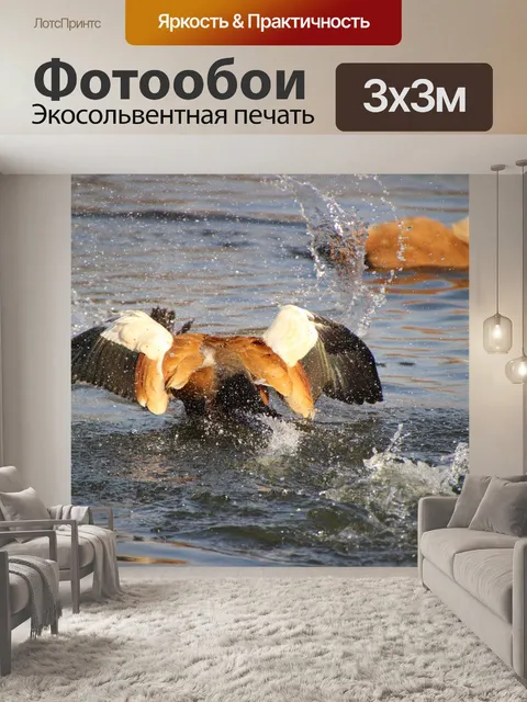 Фотообои Огарь