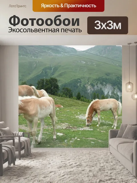 Фотообои Лошади