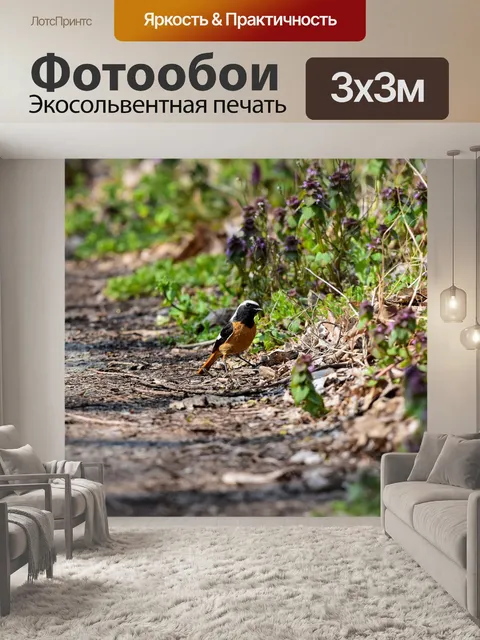 Фотообои Животное