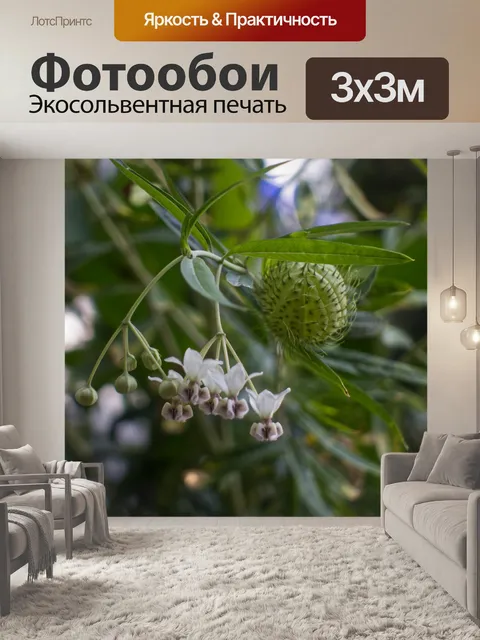 Фотообои Цветы