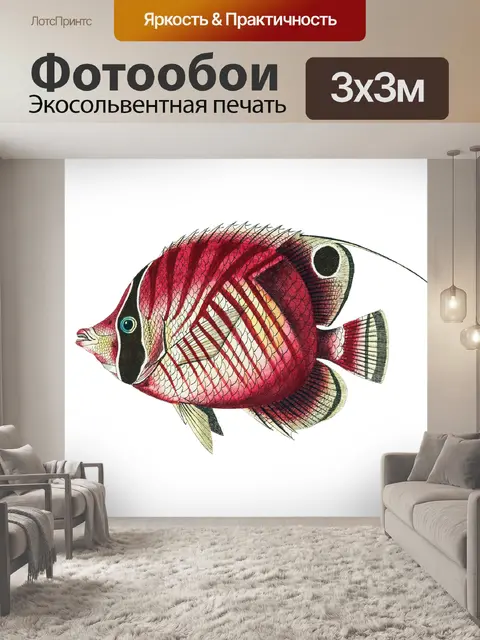 Фотообои Клипарт рыба винтаж нарисованная