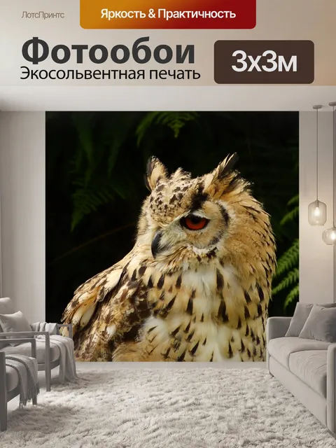 Фотообои Филин