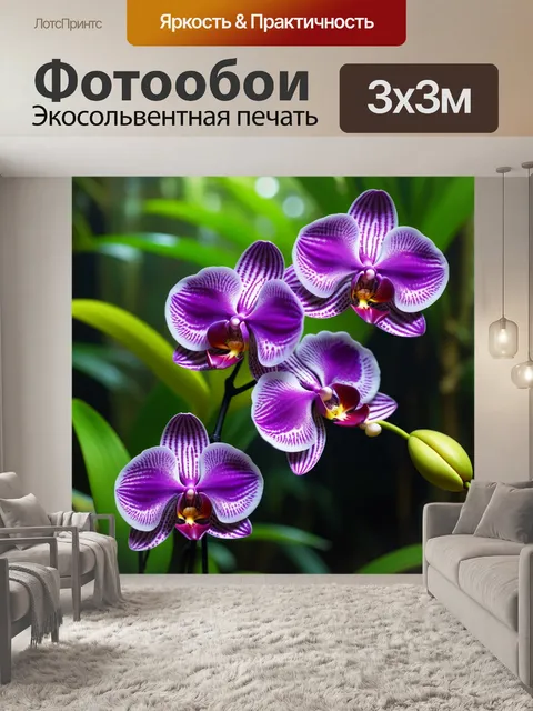 Фотообои экзотические орхидеи в тропическом лесу