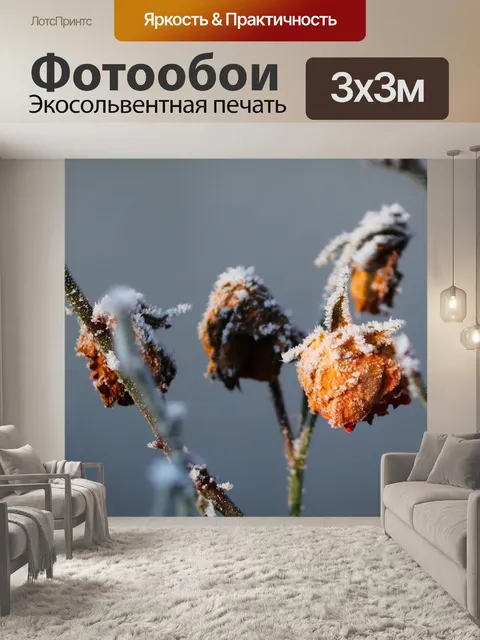 Фотообои Розы