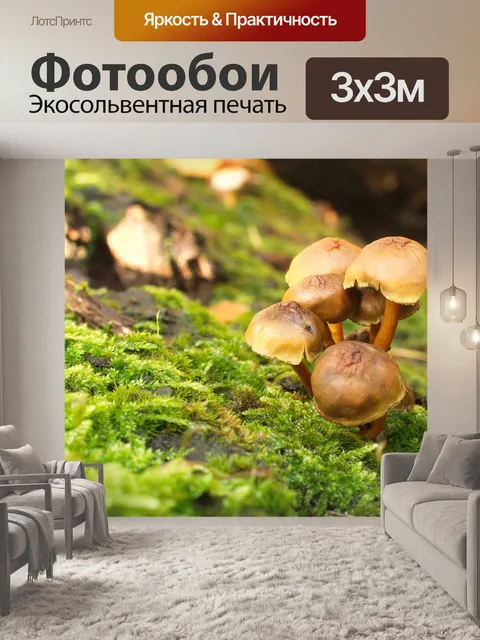 Фотообои Лес