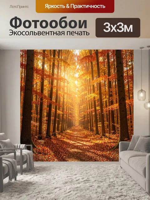 Фотообои Осенний лес с солнечной тропой