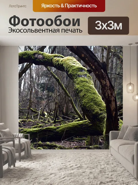 Фотообои Бассейн