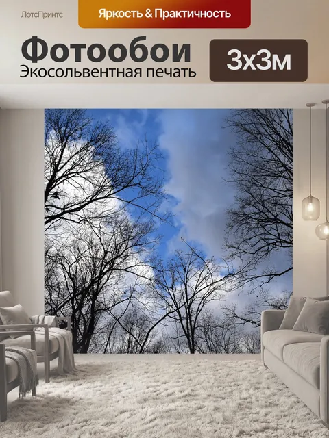 Фотообои Деревья ветви