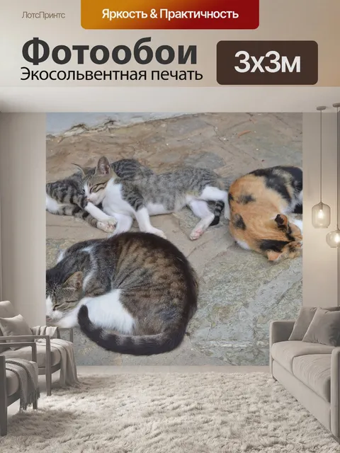 Фотообои Кошки