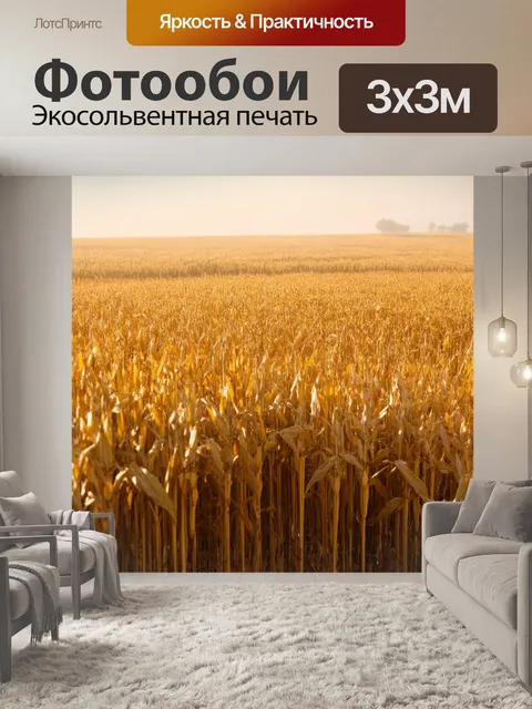 Фотообои поле, окруженное золотыми полями кукурузы, с легким туманом, создающим таинственное и волшебное настроение