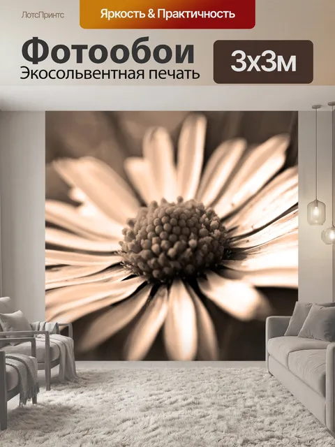 Фотообои Одуванчик