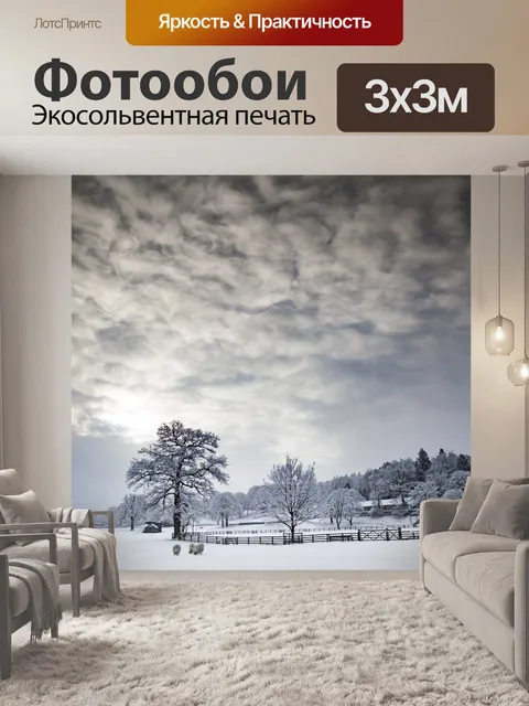 Фотообои Красивая зима