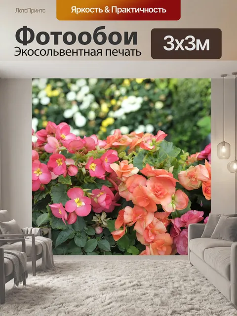 Фотообои Цветы