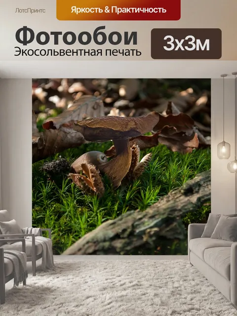 Фотообои Осень