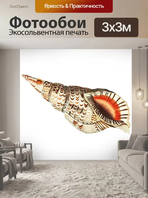 Фотообои Ракушка старинное искусство старый