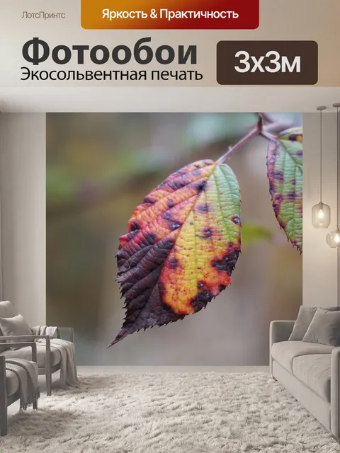 Фотообои Лист