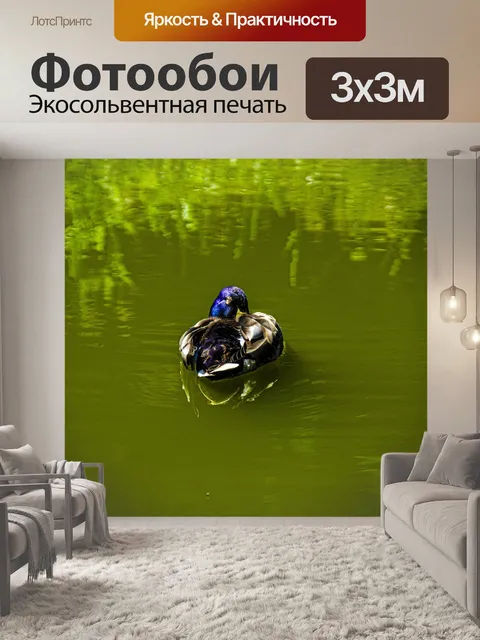 Фотообои Птица