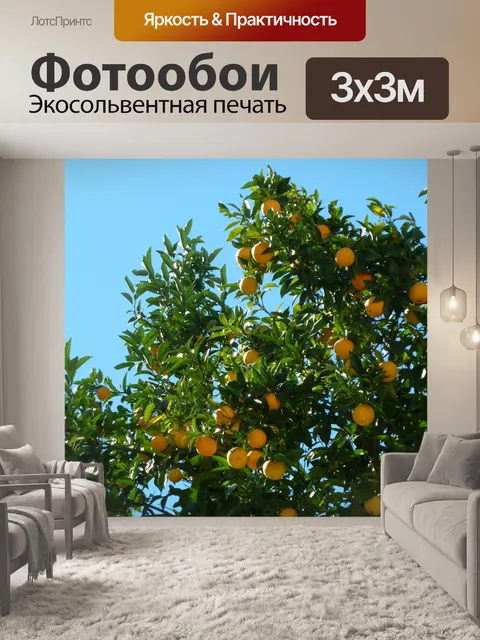 Фотообои Апельсиновые деревья