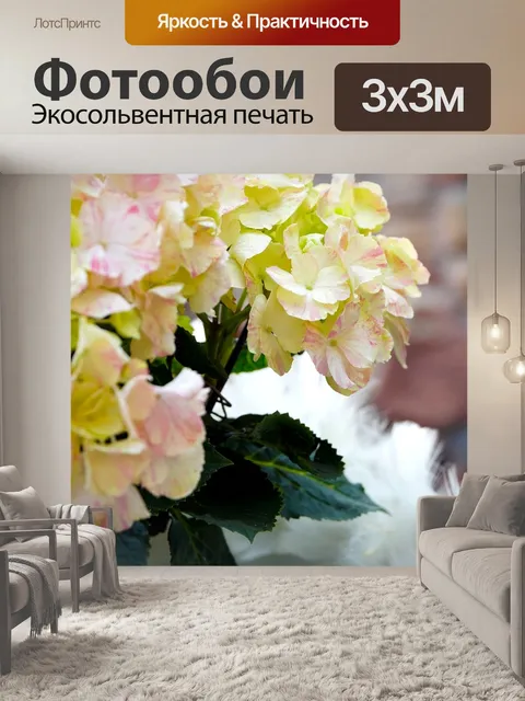 Фотообои Гортензии