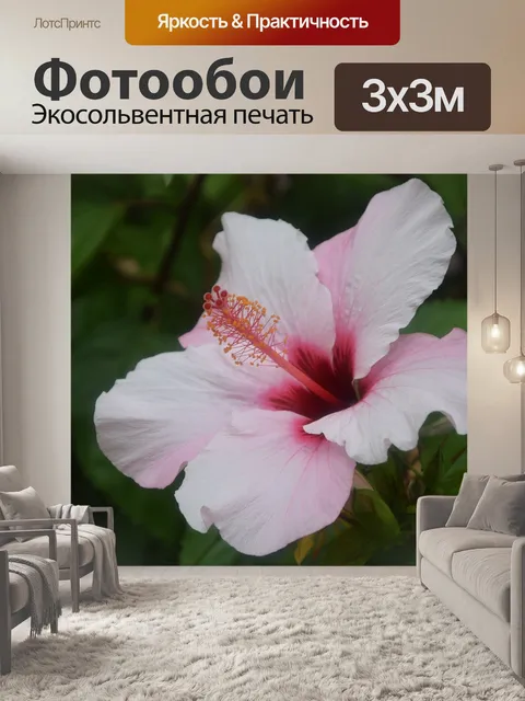 Фотообои Розовый