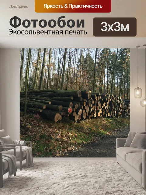 Фотообои Древесина