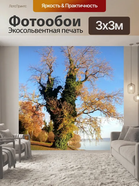 Фотообои Дерево
