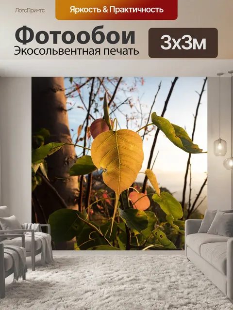 Фотообои Листья