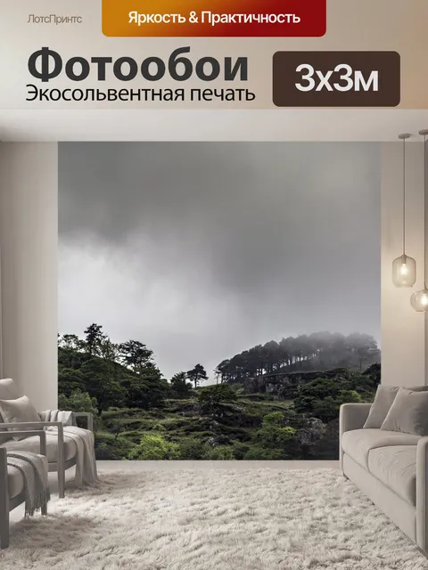 Фотообои Плохая погода