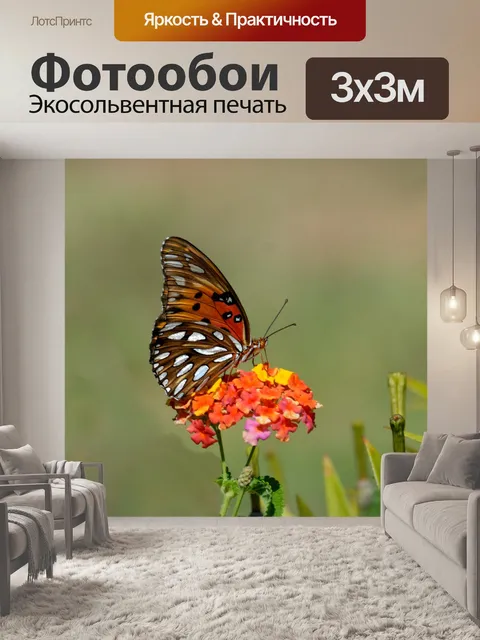 Фотообои Fritillary Бабочка